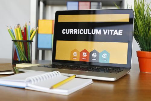 curriculum vitae young proffesional 